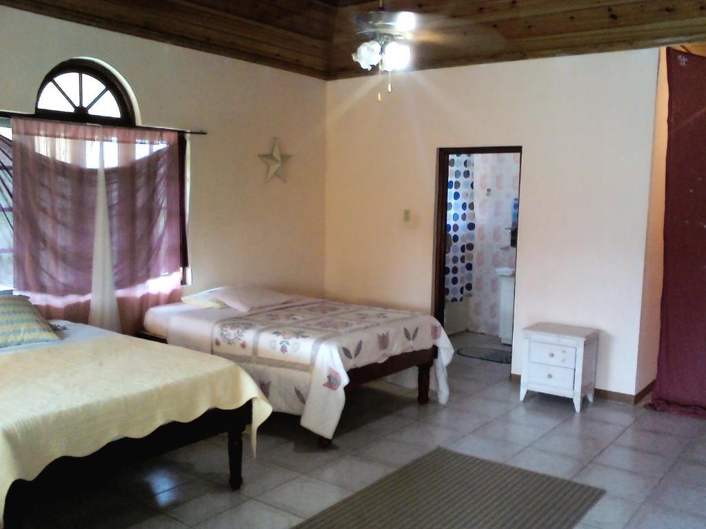 Dolphin Bay Yoga Guest House Drapers 部屋 写真
